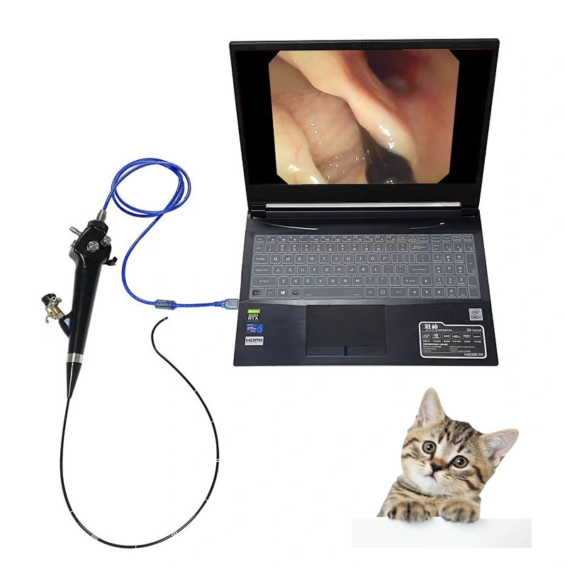 Vet Animal Pets Semi Rigid Urological Ureteroscope Set Digital Veterinary Video Flexible Ureteroscope