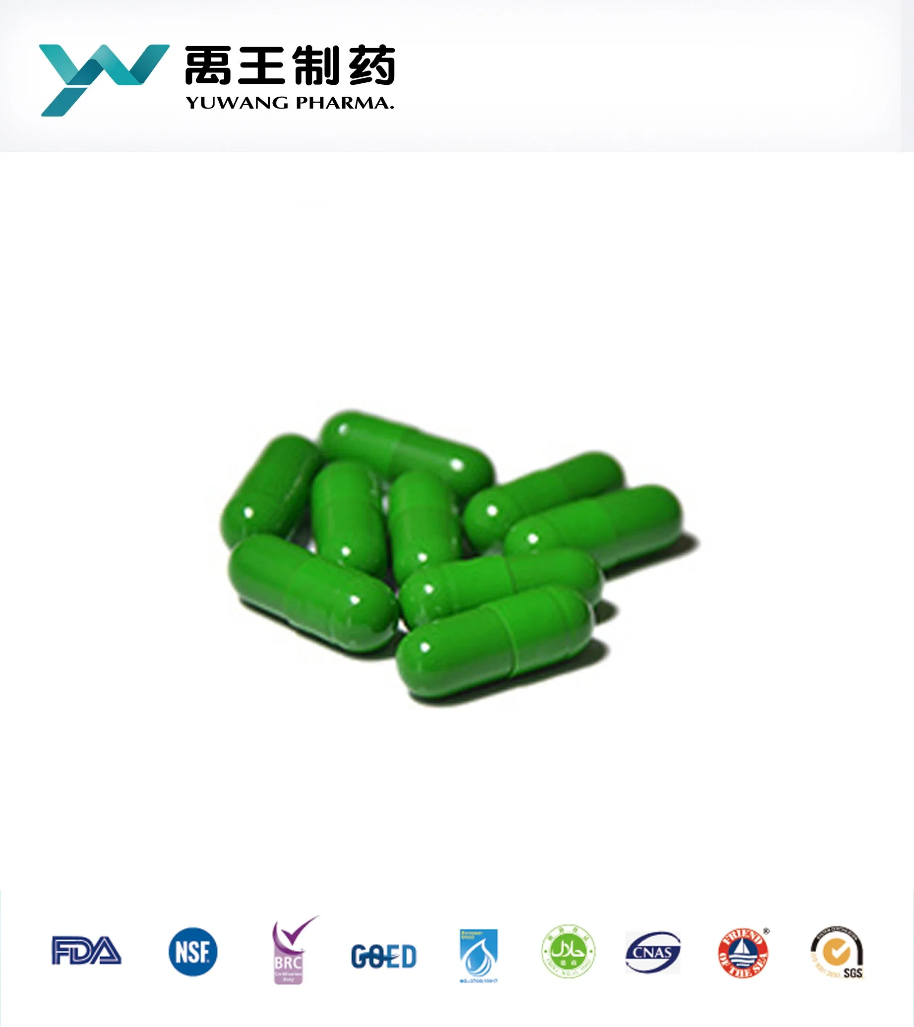 GMP Certified Vegerian Capsules OEM