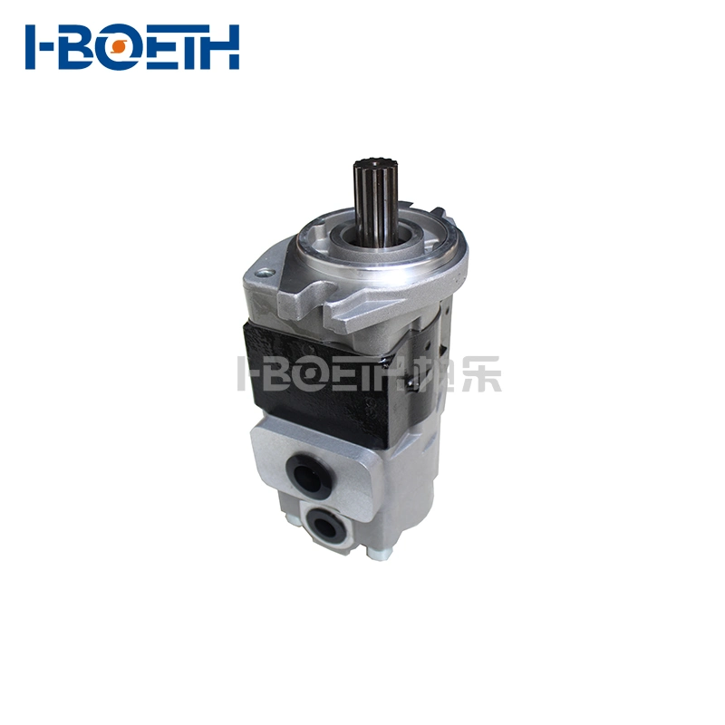 Mitsubishi. Nissan Sgp1a34r813t Sgp1a34D2h9-R479, Sgp1a34D2h9-R813t Hydraulic Pump Forklift Gear Pump