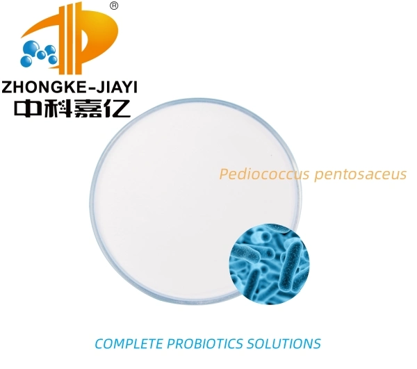 10 Billion Active Pediococcus Pentosaceus Probiotics for Oral Health