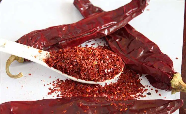 Gewürzpulver Distributor Red Chili Powder Preis 1 Kg