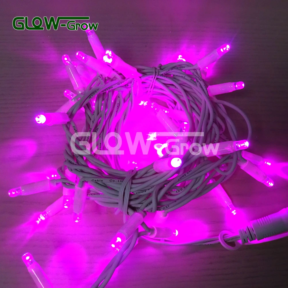 IP65 Waterproof Outdoor Use Fairy Light LED Christmas Light LED String Light Flash Light for Building Use with Flash Bulb 4+1