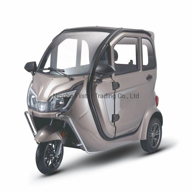 60V 2200W EEC New Energy Arrival Electric Tricycles Vehicles with Plastic Cabin for The Handicapped Bottom Price