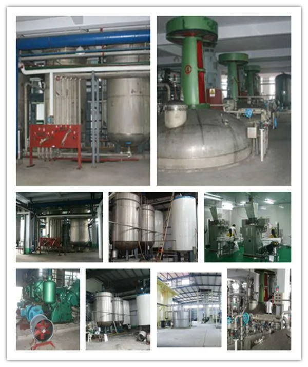 CAS 50-70-4 Low Price Supplier Plant Pure Sorbitol Powder Crystal