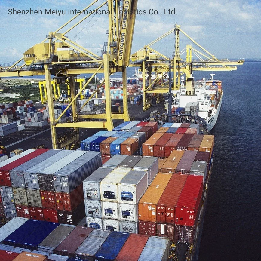Дешевые расценки доставки Шэньчжэнь логистических компаний морские грузовые перевозки из Китая морских перевозок в Европе Люксембург и Соединенное Королевство