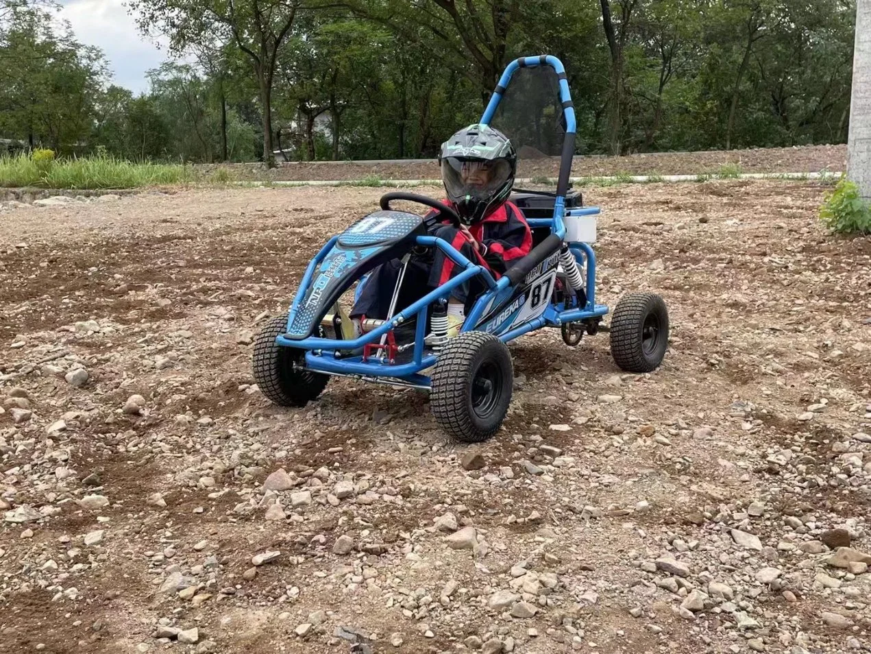 110cc Mini Go Kart con 6inch Wheel puede funcionar Jardín de la playa fuera de Road Buggy