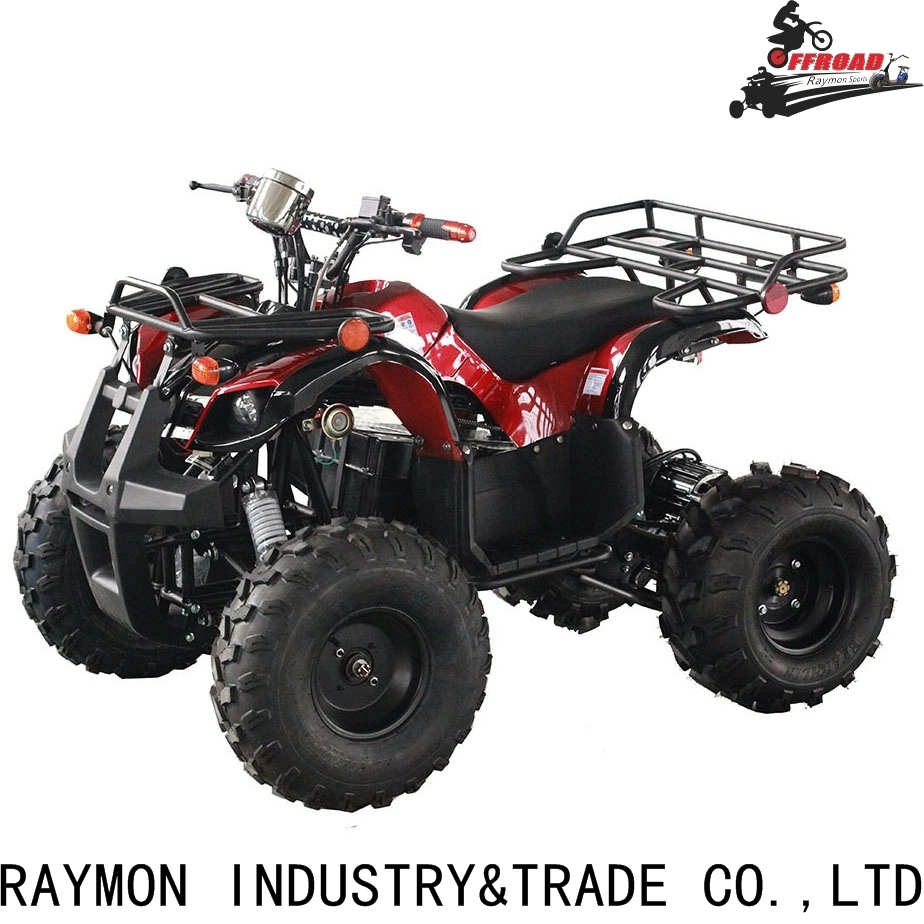 Elektrischer Großhandel/Lieferant ATV China 1000W 1500W ATV Quad Bike