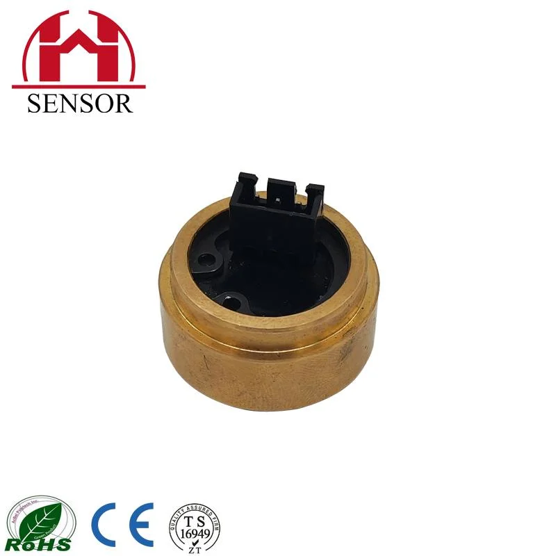 The Pump Pressure Sensor Can Be Customized with Small Volume and Fast Response Speed