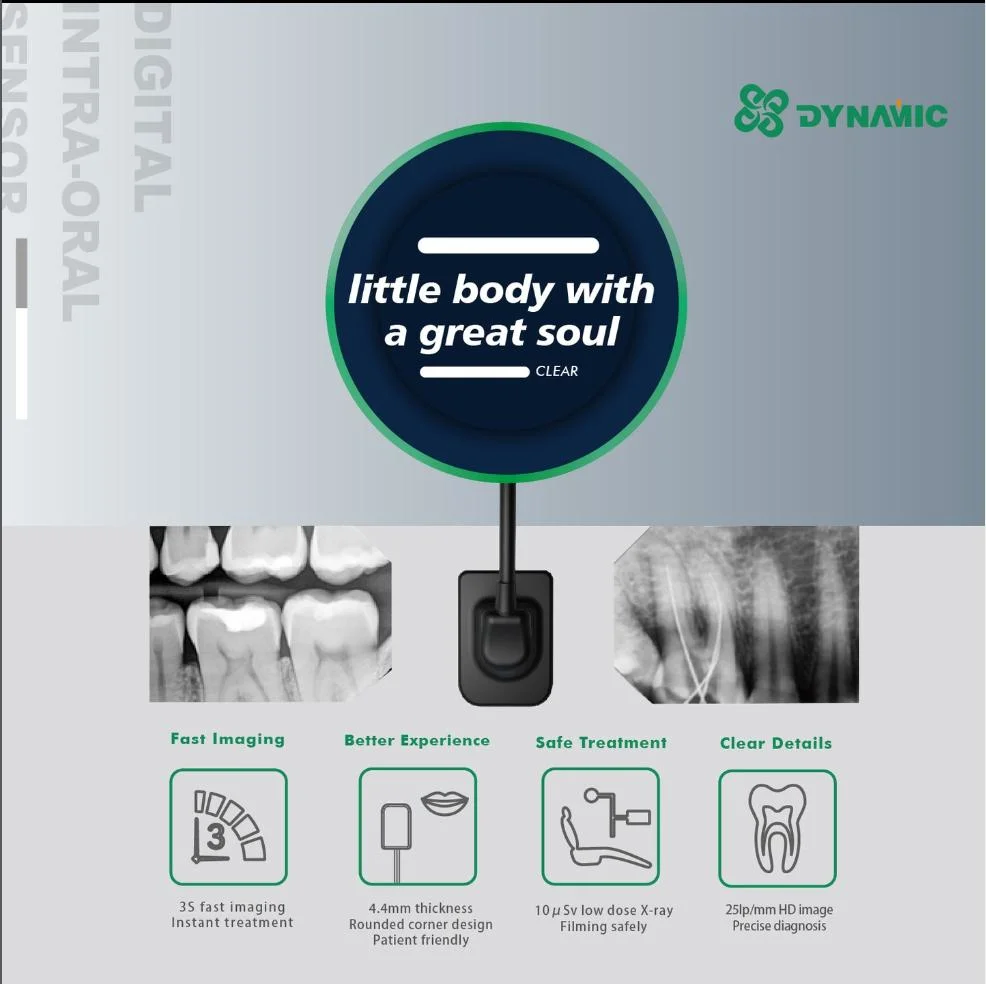 Haute qualité numérique dentaire Rvg Intraoral Capteur de rayons X