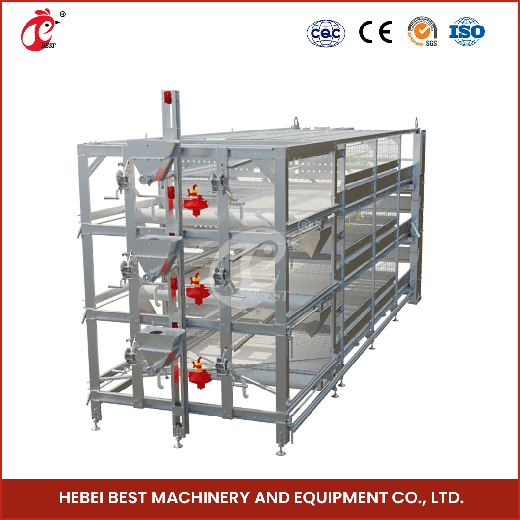 Bestchickencage H Type Chicks Cage Breeder Cage China Sturdy Spacious Brooder Cage Manufacturer High-Quality Durable and Easily Clean Layer Pullet Cage