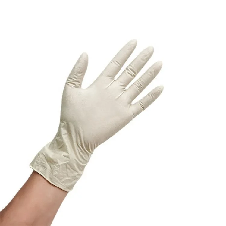 High quality/High cost performance  Latex OEM Logo Custom Powder-Free Teeth Dental Food Service Healthcare Cleaning Disposable-Glove Latex Glove Gloves