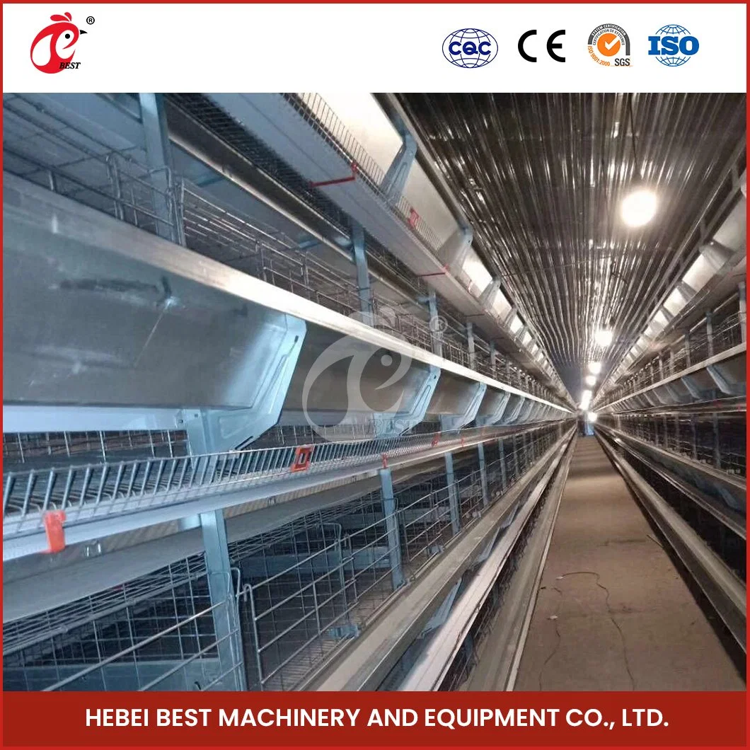 Tipo H Bestchickencage jaula criadora jaula capa China grandes cooperativas de la capa de pollo a la venta de alta calidad, aplicable Hoteles Fabricante de jaulas de pollo de la capa de huevo