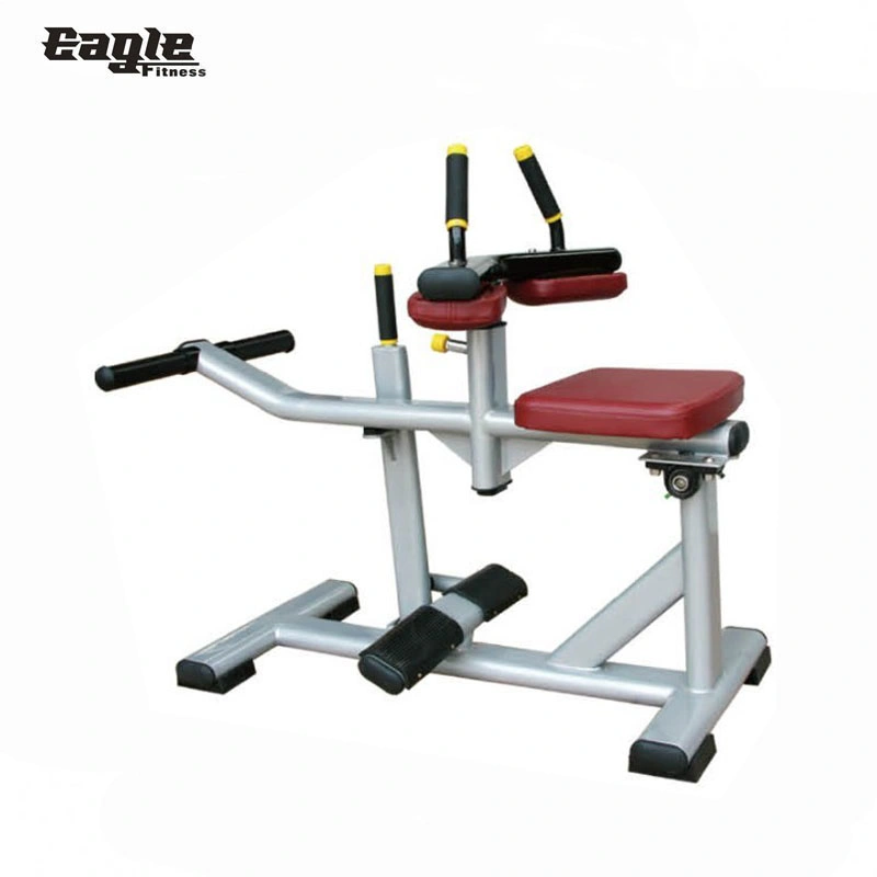 Máquina de ejercicios de fuerza Equipos de fitness Life Fitness Gimnasio ajustable de Banco de silla romana