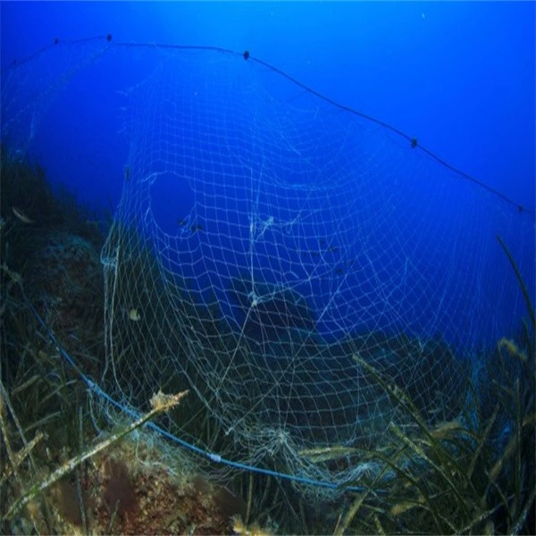 Claro la trampa de peces de la fábrica de pesca monofilamento de nylon de red de redes de enmalle de seda 9 Capas la pesca y atrapando Gill Net