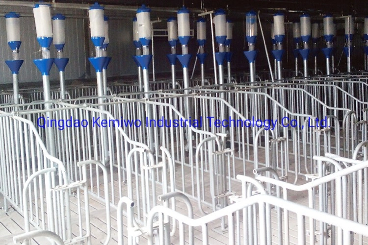 Galvanized Pig Gestation Limited Stalls Crates Pens