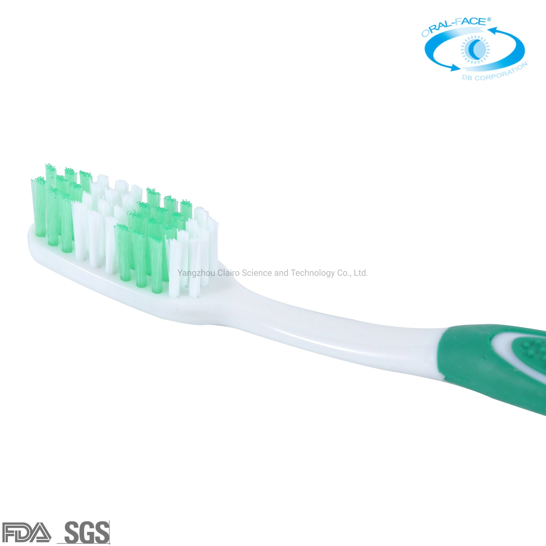 Wholesale/Supplier OEM on Time Delivery Adult Household/Travel Toothbrush with Caps