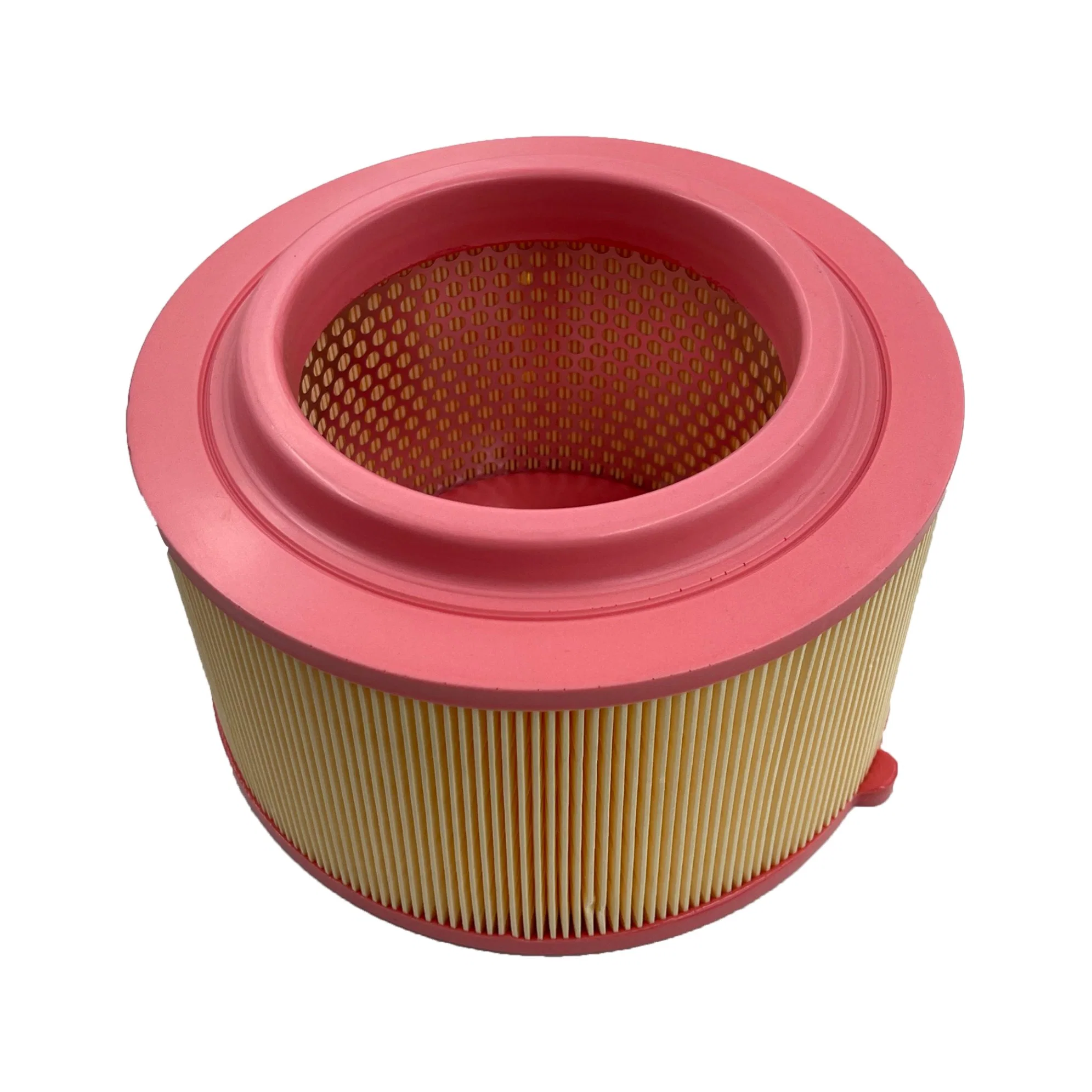 Factory Hot Sale Auto Accessory Ab39-9601-Ab/C22024 for Ford Air Filter