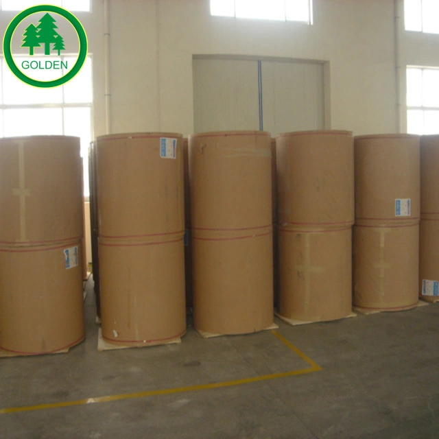 China Manufacturer Brown Kraft Liner Paper Kraft Top Liner Paper for Wrapping and Packaging