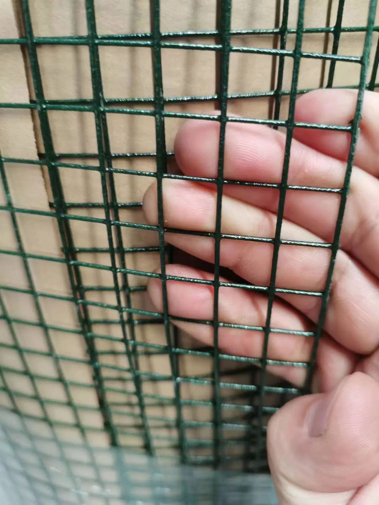 China Hebei Factory High quality/High cost performance  PVC Coated Wire Mesh Welded