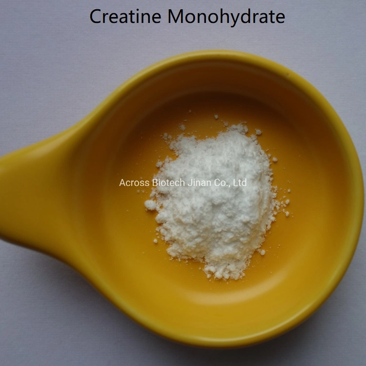 Come to Us to Buy Creatine Monohydrate CAS 6020-87-7 at Affordable Price