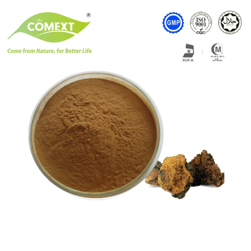 Comext Water Soluble Chaga Mushroom Extract 10: 1 Chaga Extract Powder