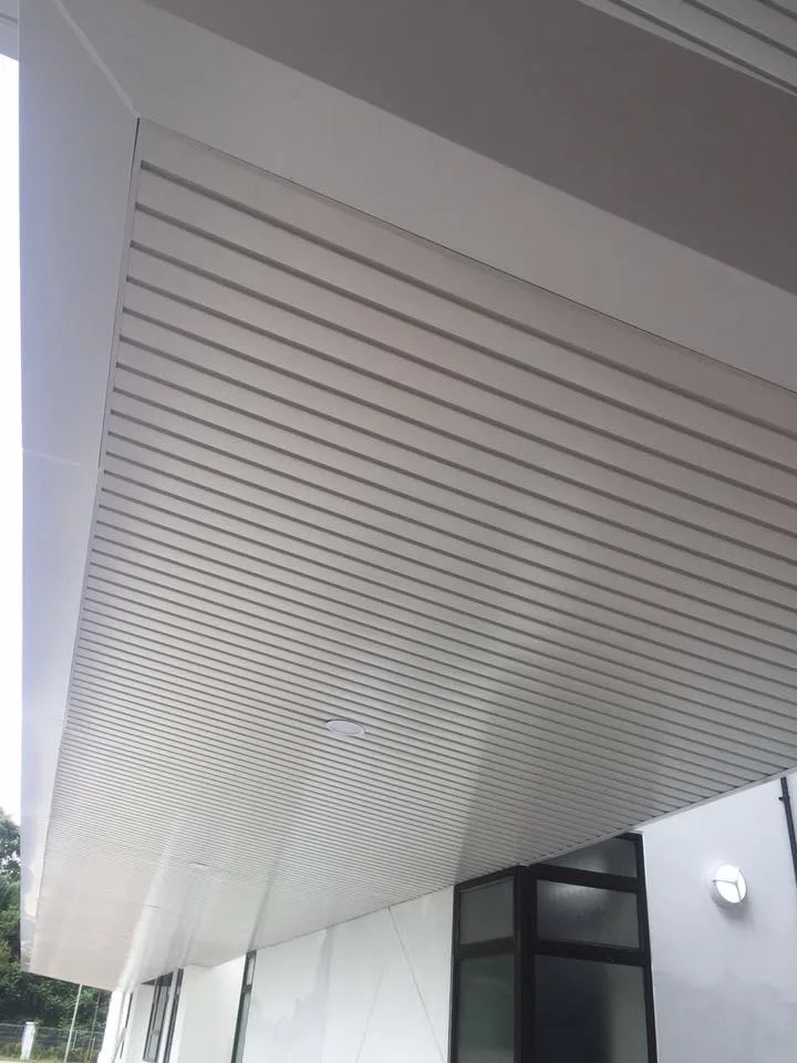 Revestimiento de aluminio aluminio fachada de aluminio Panel de pared de aluminio Perfil de aluminio