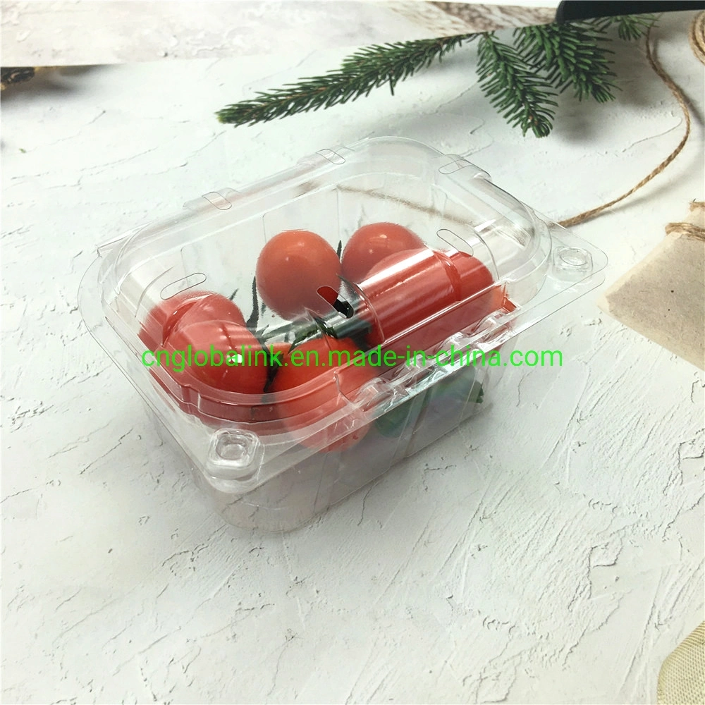 Disposable Plastic Blister Clamshells Fruit Packing Punnets Tomatoes 250 Grams Plastic Packaging