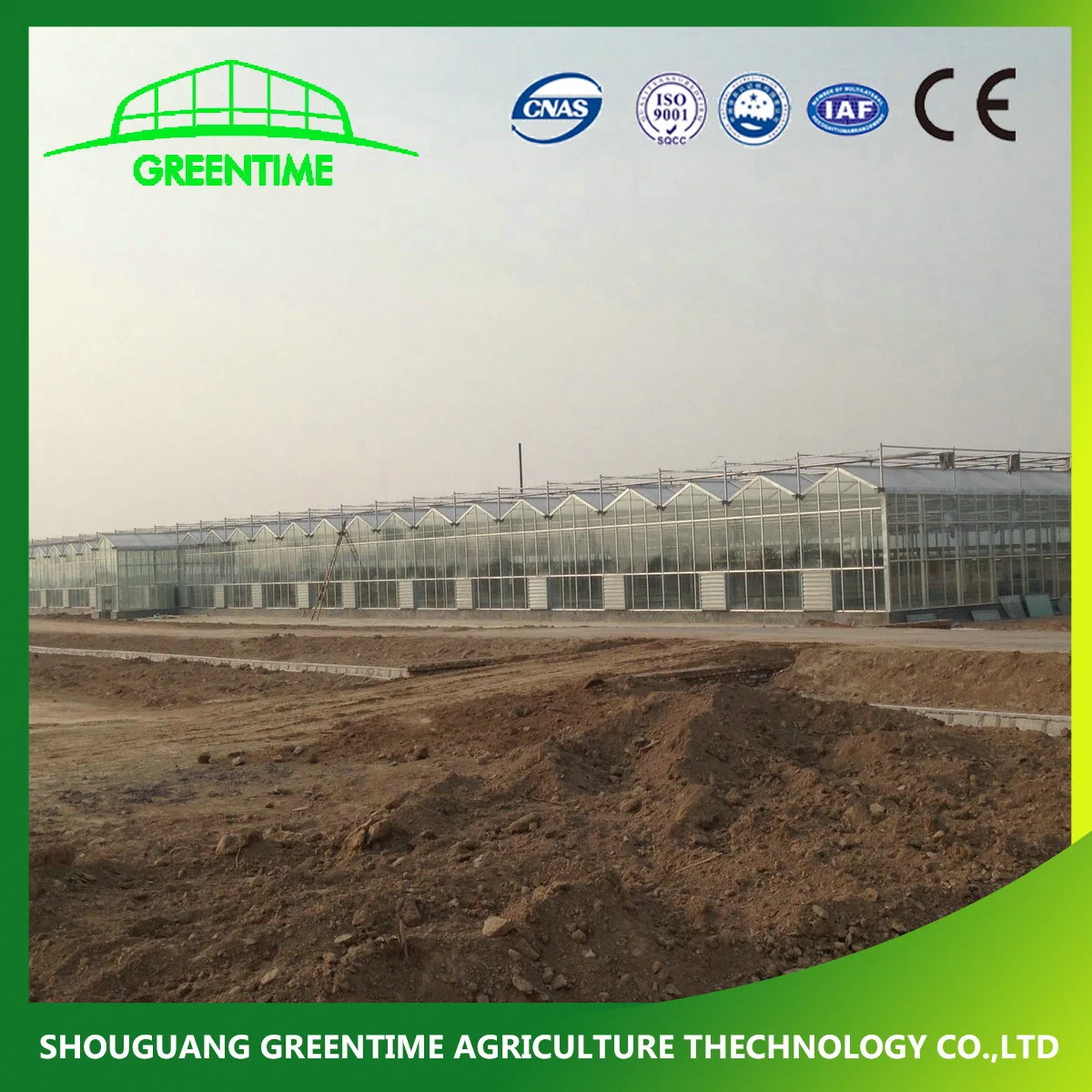 Best Quality Venlo Type Galvanized Steel Structure Glass Greenhouse with Heating System for Hydroponics/Strawberry/Vegetables/Flowers/Tomato/Pepper