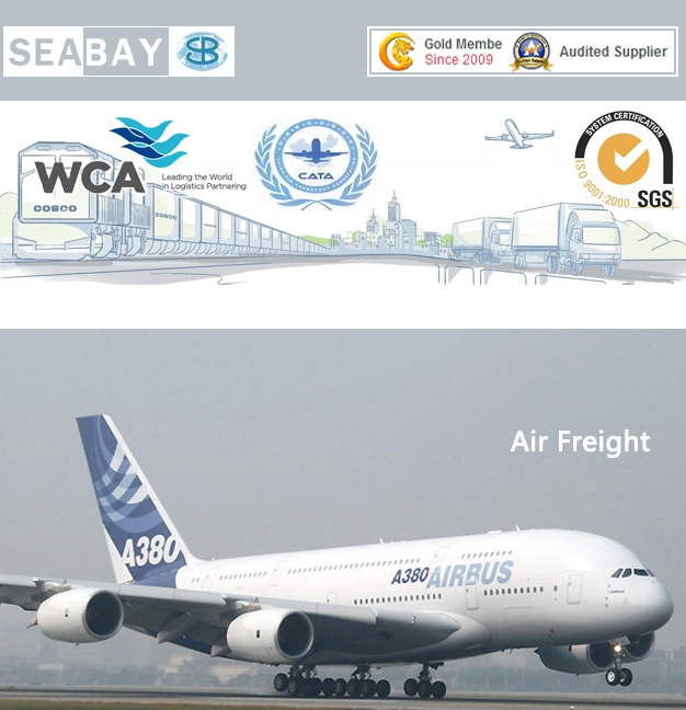 Express Air Freight Service to Indonesia or Indonesia Air Freight Shipping Agent