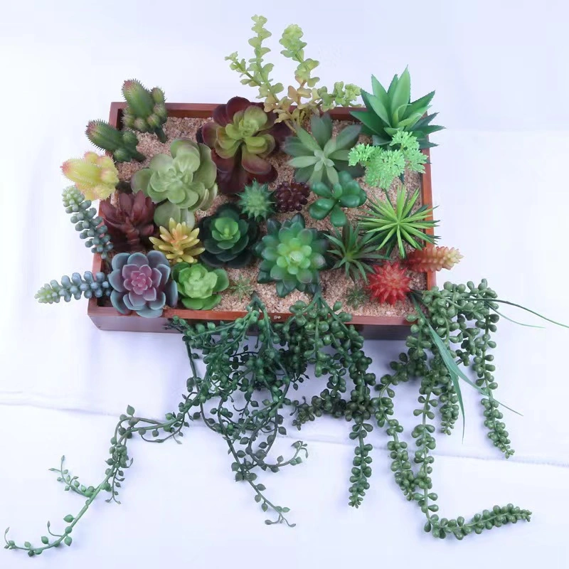 Artificial Succulents Plant Creativity Flower Pot for Home Decor