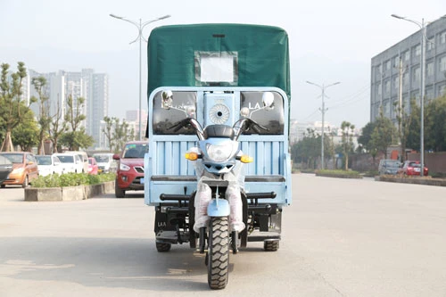 Грузовой трехколесный электрический грузовой трехколесный мотоцикл Auto Rickshaw пассажирский мотоцикл