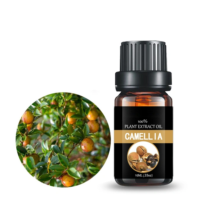 CAS No. 68917-75-9 Camellia Sinensis Seed Essential Oil Flavor&Fragrance Oil Plant Extract Medicinal Oil