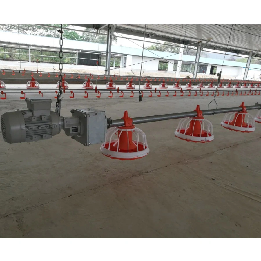 Poultry Farm Equipment Broilers Automatic Feeding Line and Drinking Line