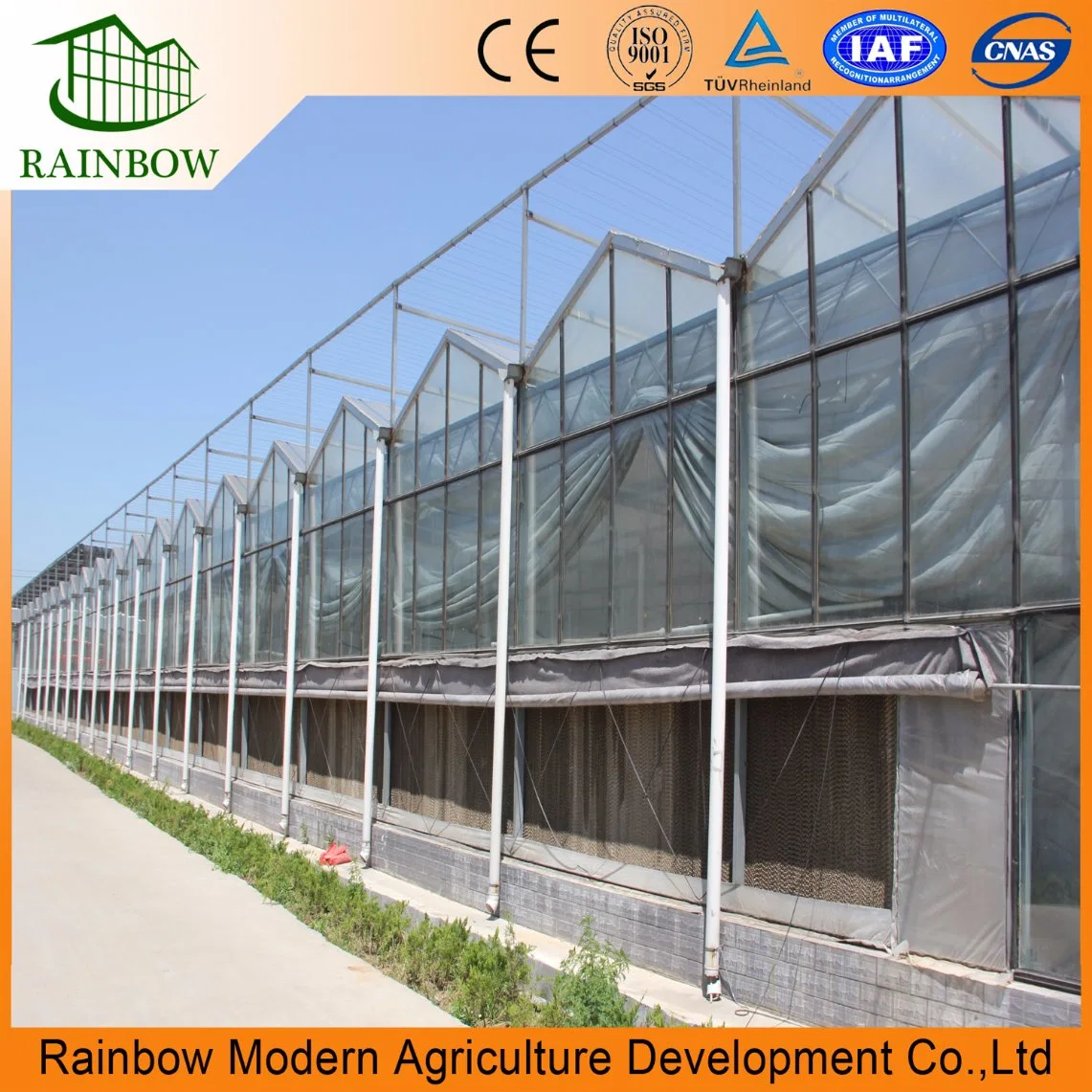 Anti-UV Glass Horticultural Flower Growing Greenhouse