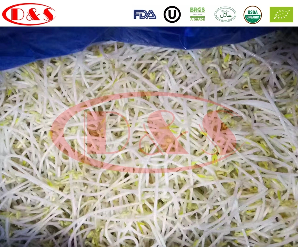 Fresh Vegetable Bean Sprout IQF Frozen Green Bean Sprout with Private Label