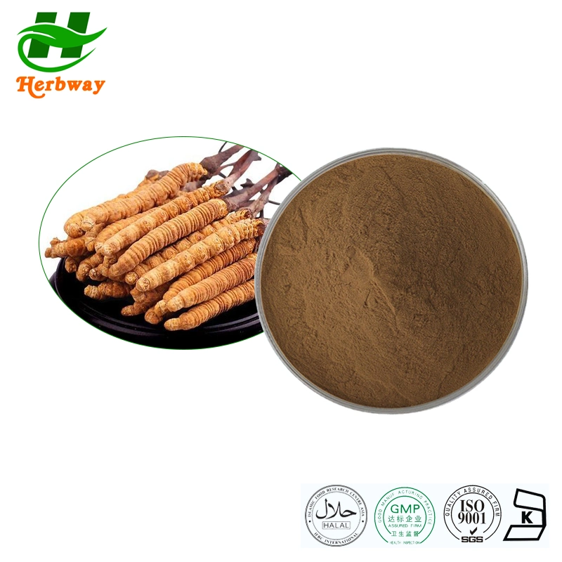 Herbway China Supplier Hot Sale ISO 10%-50% Polysaccharide Cordyceps Sinensis Extracts Cordyceps Extract Powder