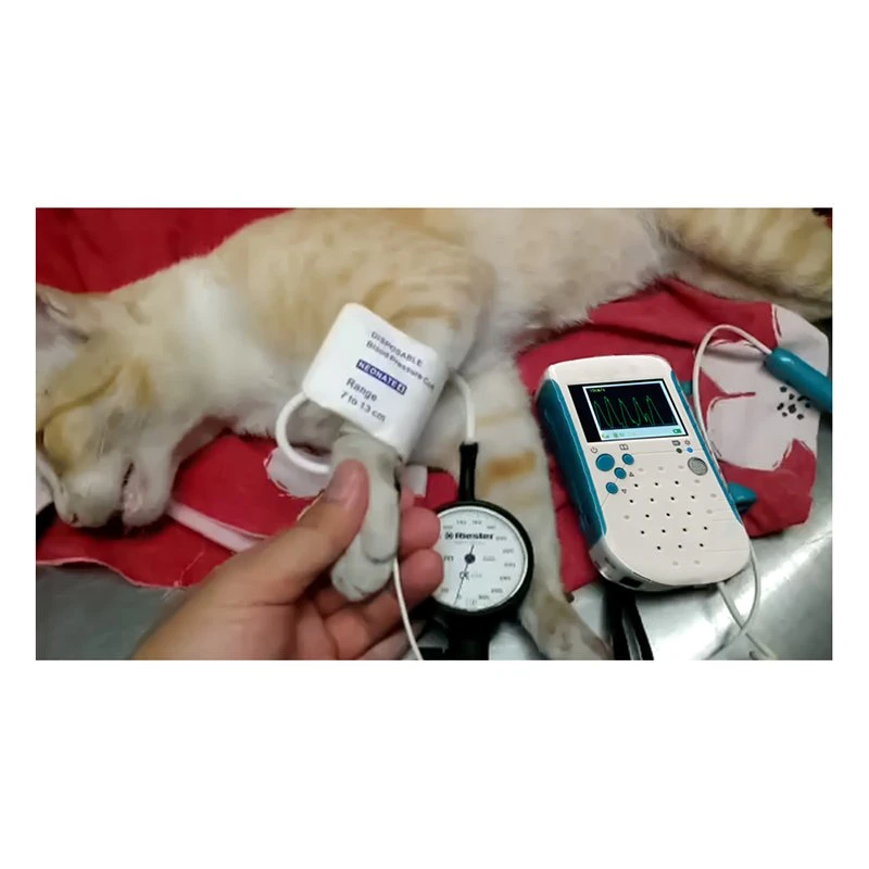 Vet Sphygmomanometer Doppler Blood Pressure Veterinary Portable Blood Pressure Meters