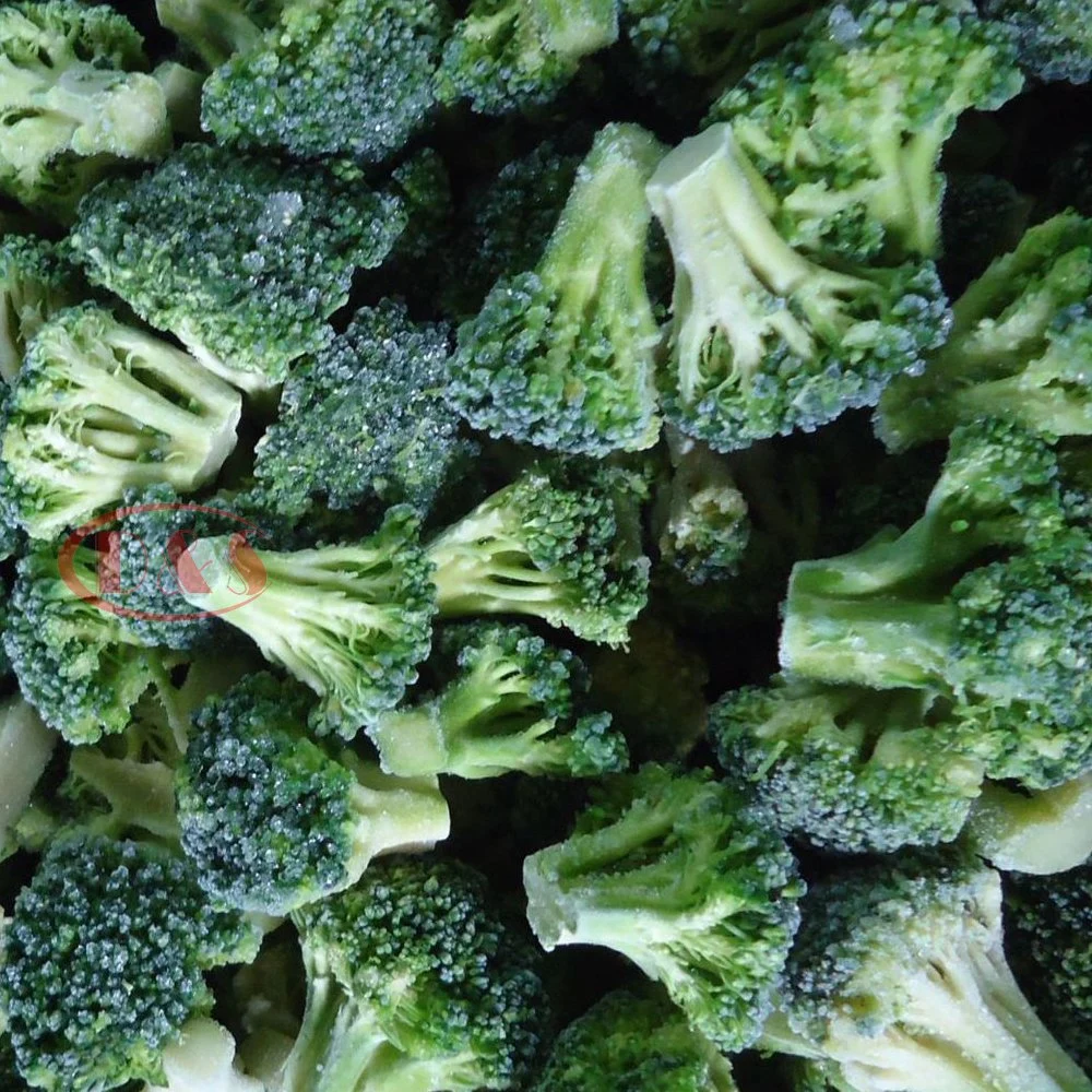 Manufacturer Brc/Sedex/Halal Certified IQF Frozen Broccoli 30*50mm