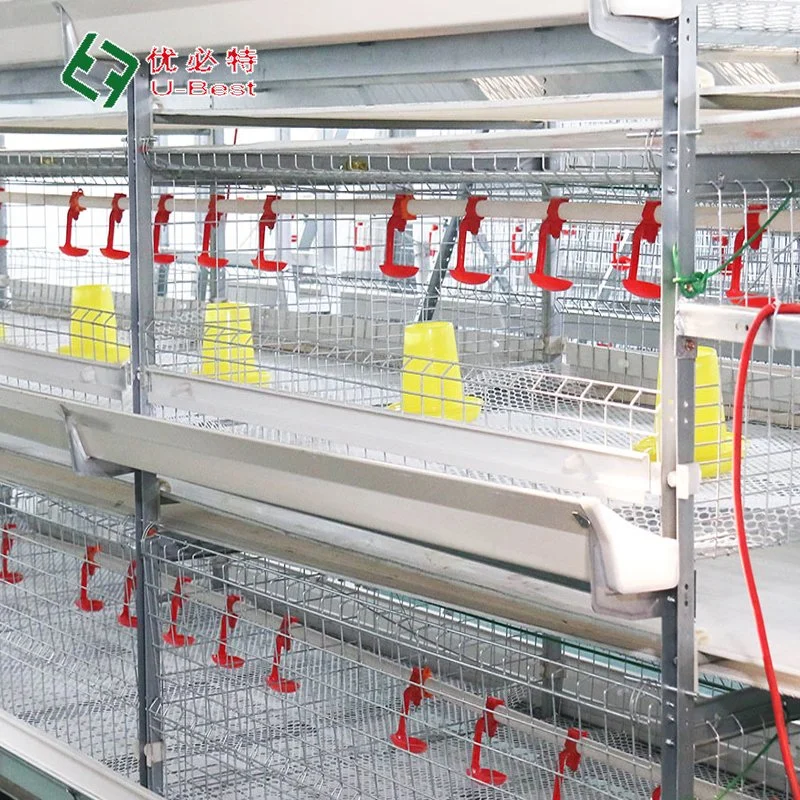 Automatic H/a Type Bird Broiler Chicken Battery Breeding Cages for Poultry Farm