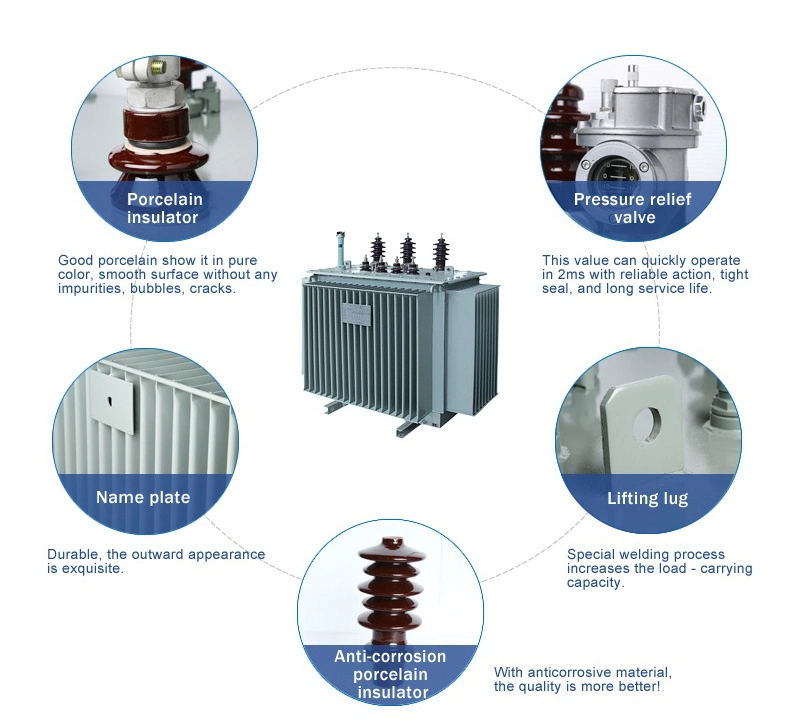 6kv/11kv/33kv/35kv Power/Distribution Transformer with Oil Immersed and Dry Type