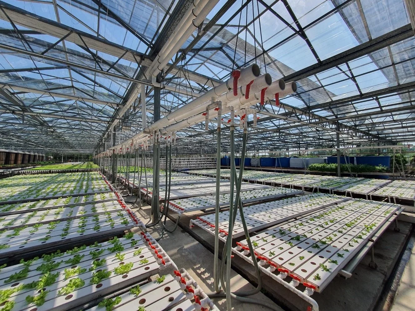 Indoor verticale des systèmes de culture hydroponique Nft de plus en plus de légumes pour la plantation d'accueil