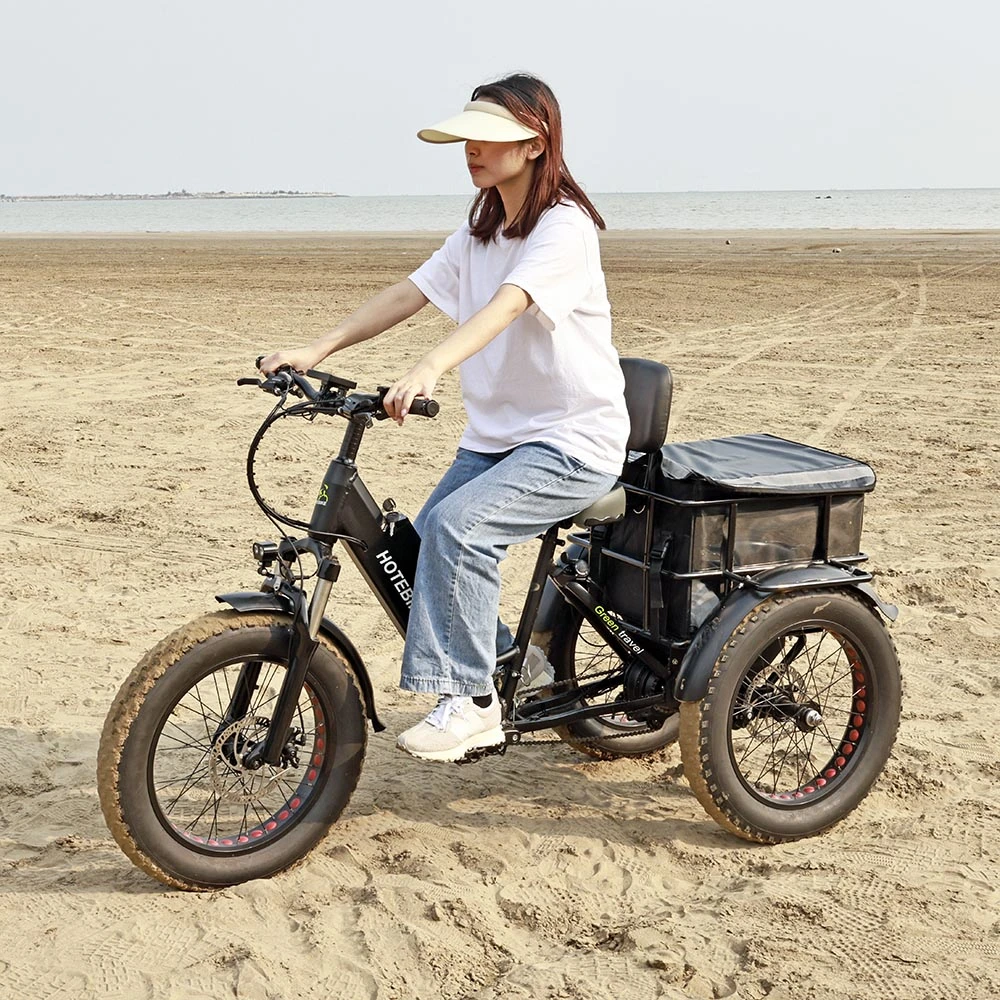Vélo d'espace utilitaire électrique ultra-léger 48 V 250 W 350 W 500 W 750 W. Tricycle électrique