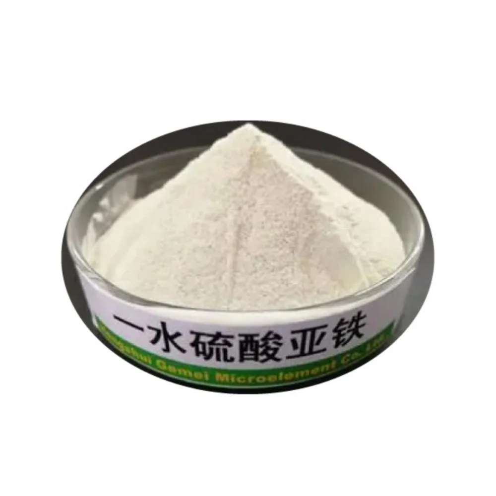 High Purity 120 Mesh Food Grade Ferrous Sulfate Monohydrate Powder for Dry Mix