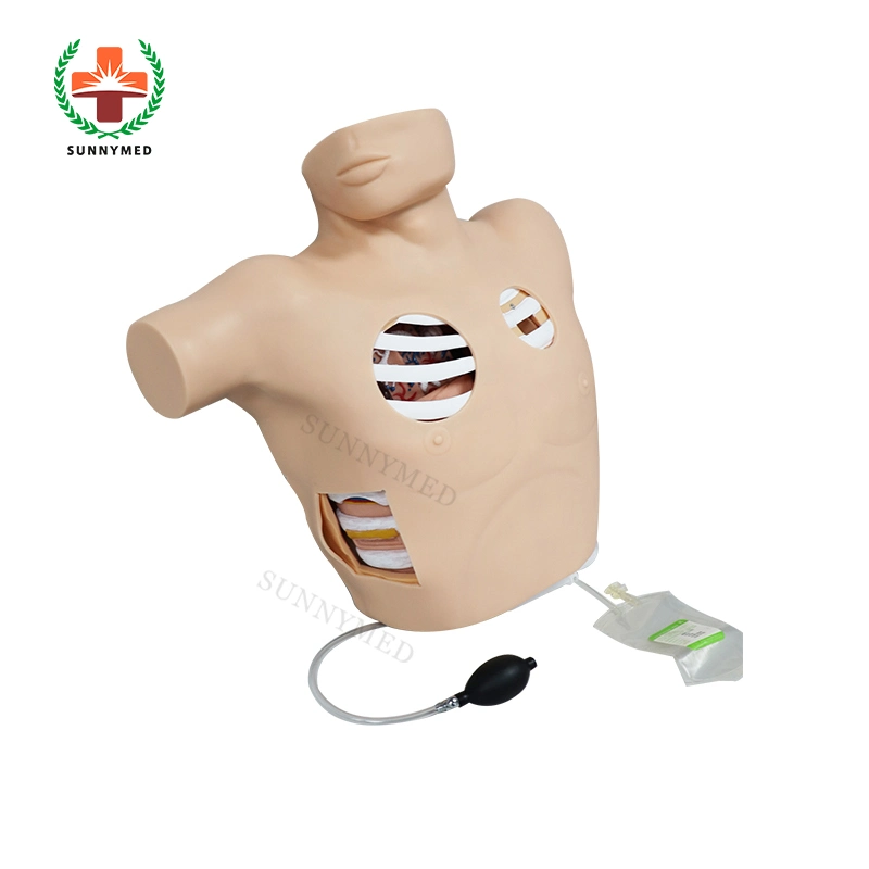 Sy-N07904 Clinical Thoracentesis Drainage Model Manikin for Training