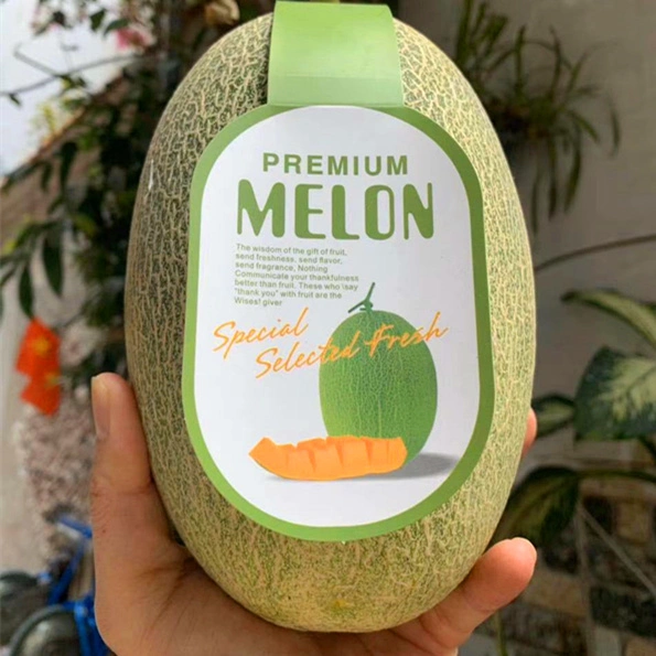 Le Melon Premium