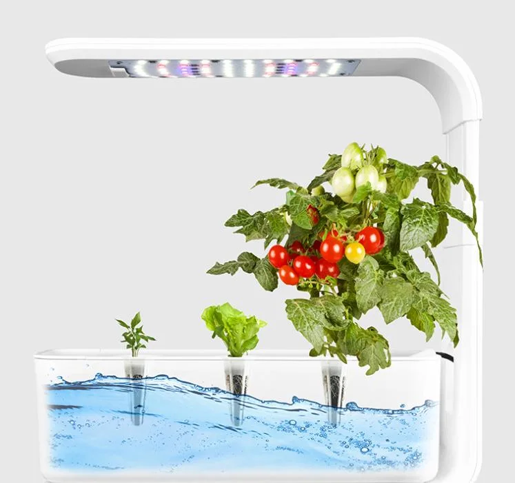 Livro 3 vagens piscina pequena Casa Plantadeira Erva inteligente de plantas de estufa Pot Aero Jardim luz de LED sistemas de cultivo hidrop ico