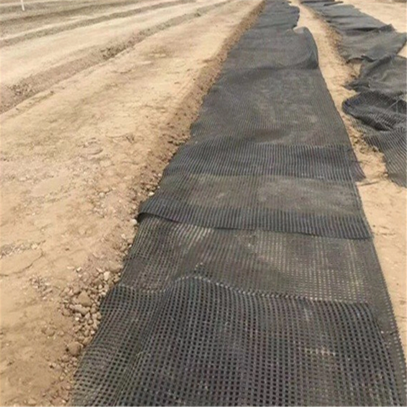 Polyster/Plastic Geogrid 120kn-120kn Pet Reinforcement Geogrid