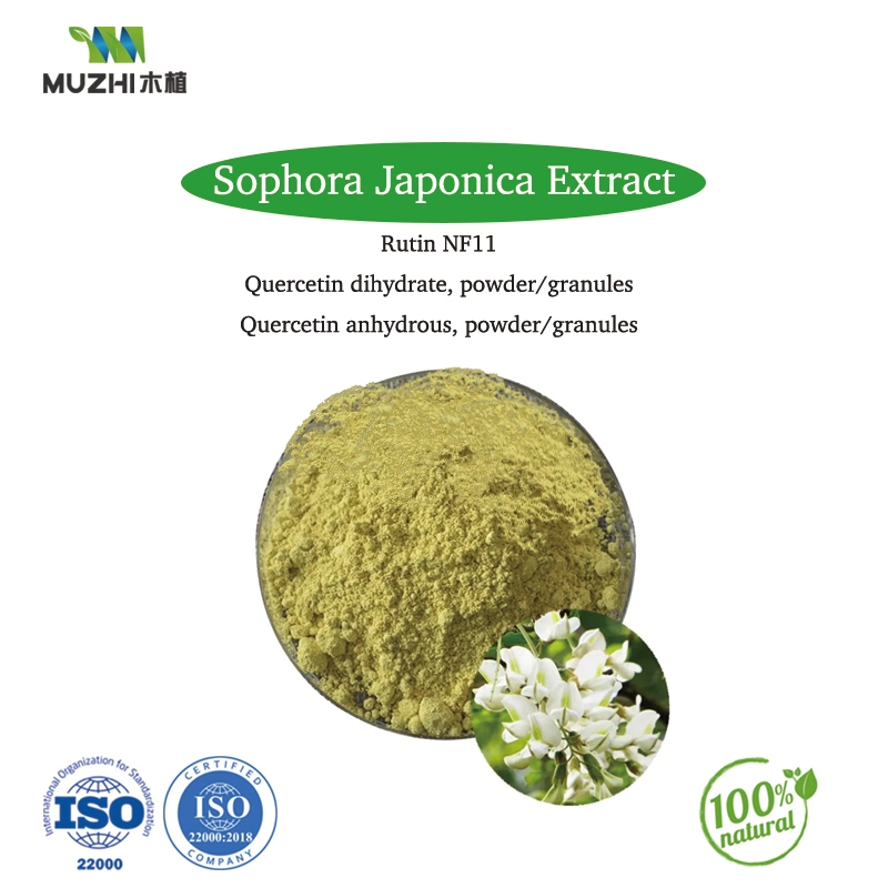 Quercetin Dihydrat Pulver Natürliche Kräuterpflanze Extrakt