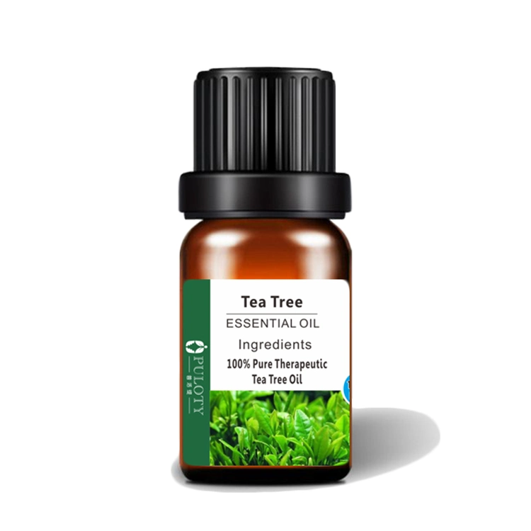 Safe Essential Oil Tea Tree for Soap Face Cream Moisturizer Deodorant Disinfectant Air Fresher Aronatherapy Tea Tree Oil