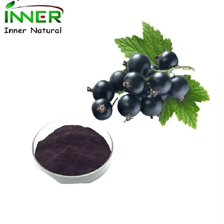 Anthocyanidines 5% 15% 25% extrait de fruit de currant noir congelé